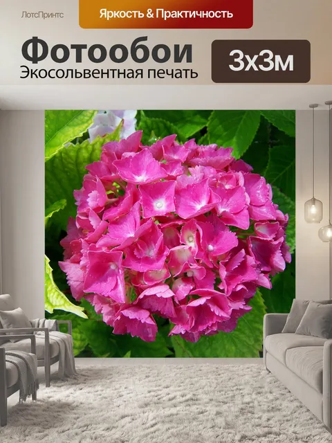Фотообои Гортензия