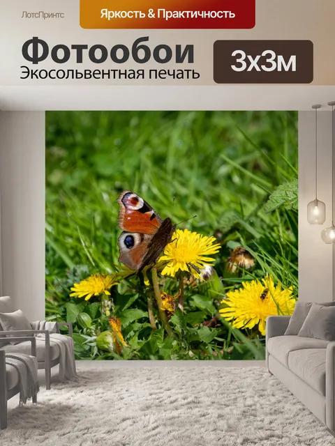 Фотообои Бабочка, Павлиний глаз, Аглаис ио