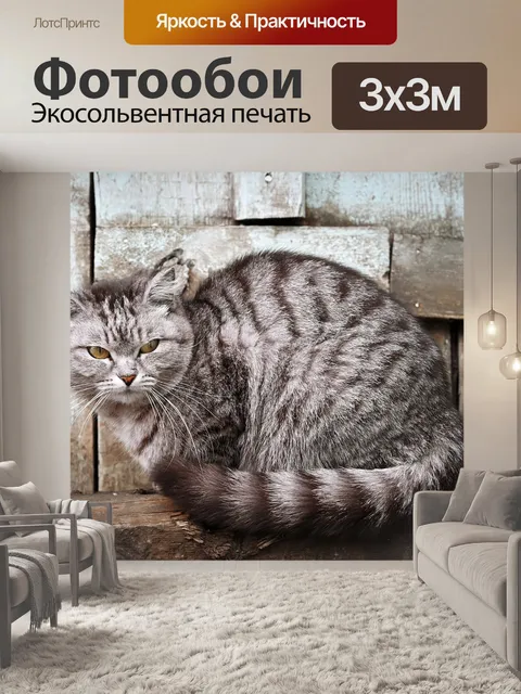Фотообои Забор