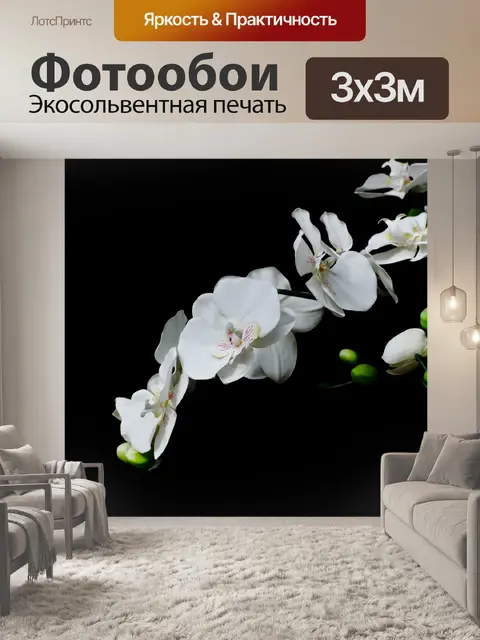 Фотообои Белый цветок - орхидея