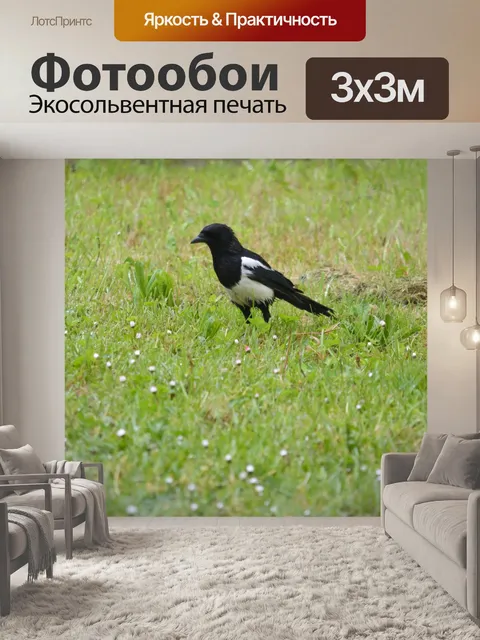 Фотообои Сорока в поле