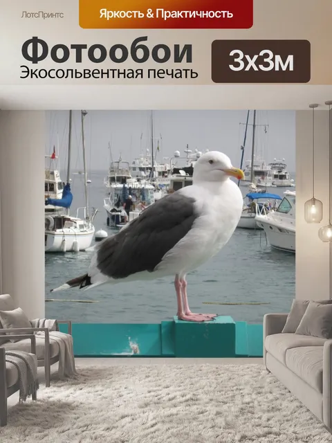 Фотообои Красивая Чайка