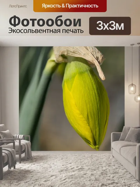 Фотообои Природа