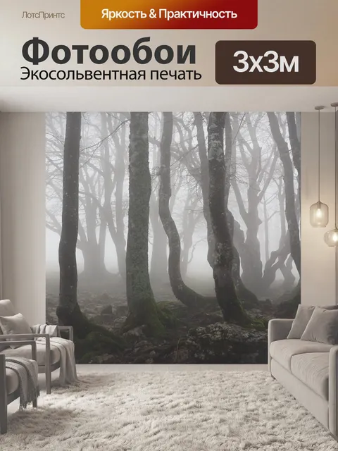 Фотообои Буковый лес