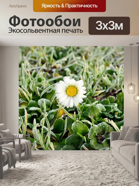 Фотообои Зимний иней на цветке