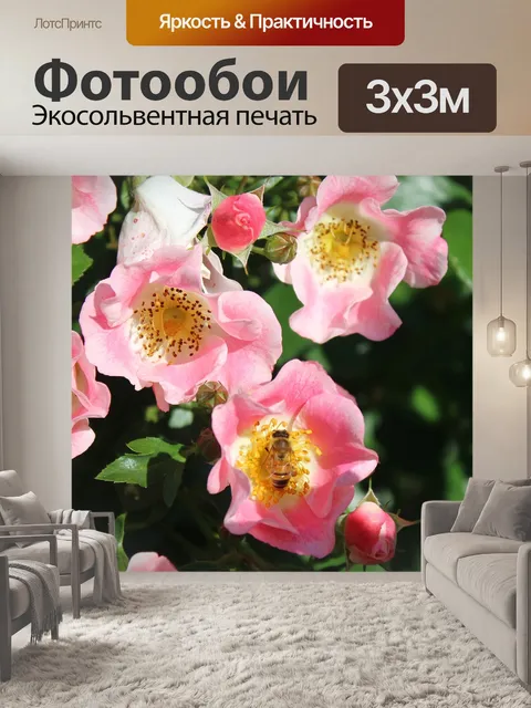 Фотообои Розовые розы