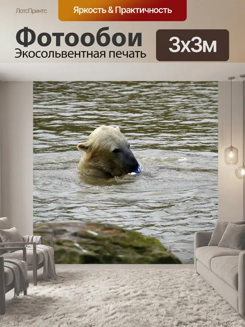 Фотообои Полярный медведь
