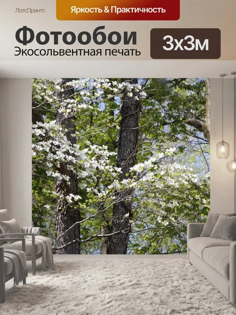 Фотообои Лес