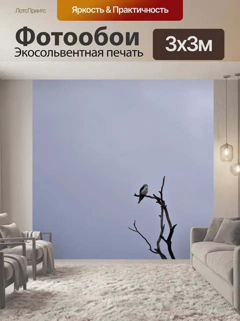 Фотообои Сокол в дереве