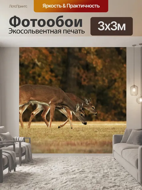 Фотообои Два белохвостых оленя осенью
