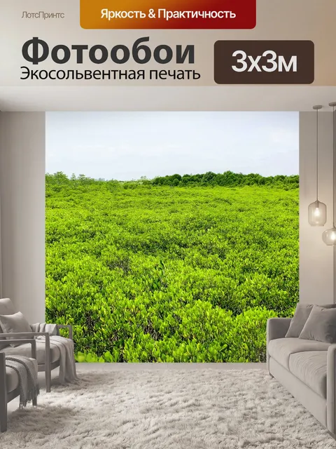 Фотообои Мангровые деревья в Таиланде