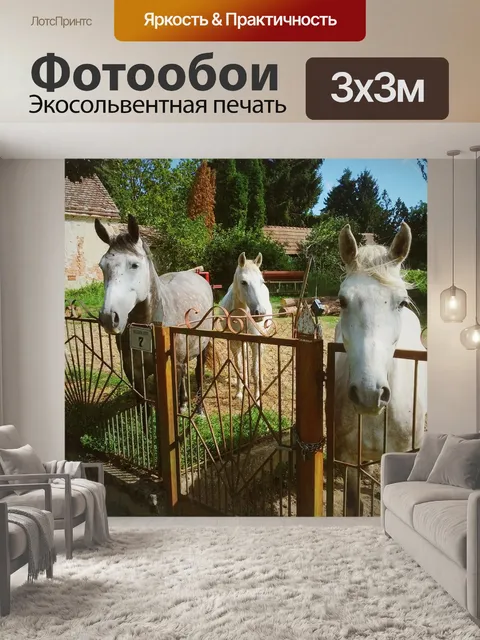 Фотообои Лошади