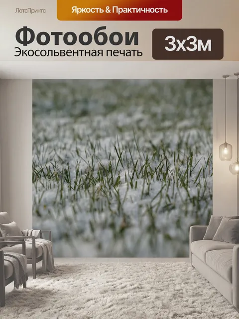 Фотообои Зима