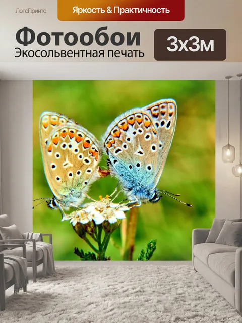 Фотообои Бабочка