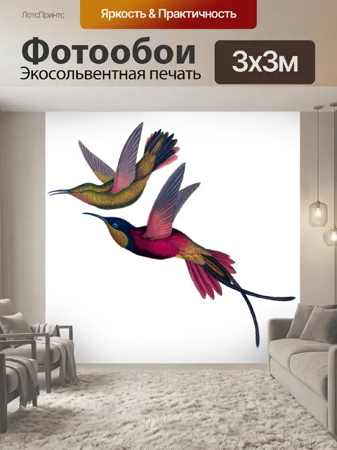 Фотообои Колибри птица старинное искусство
