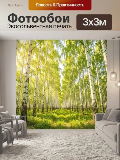 Фотообои Солнечная березовая роща летом
