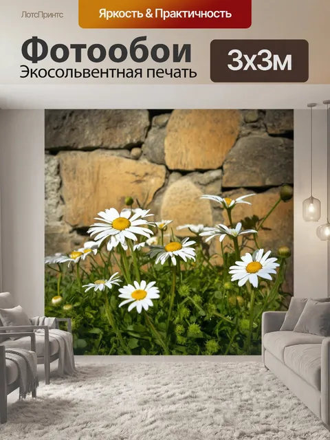 Фотообои ромашки на фоне старого каменного забора, придающего изображению рустикальный шарм