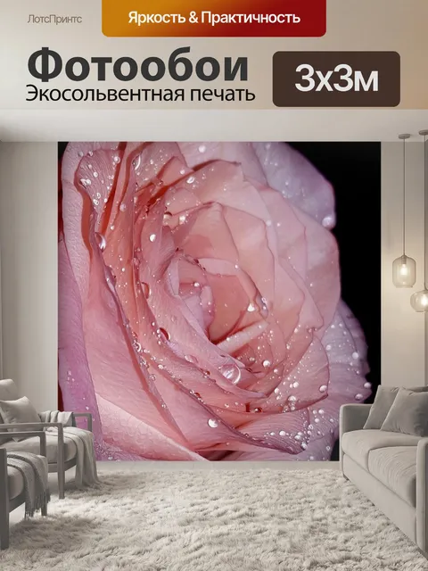 Фотообои Роза