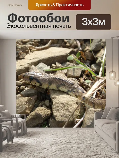 Фотообои Лестница змея
