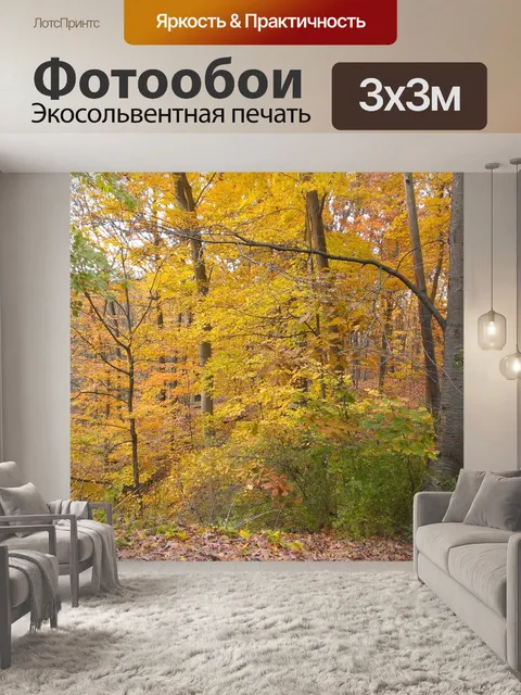 Фотообои Падение Bench