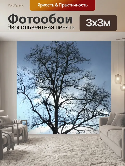 Фотообои Зимнее дерево