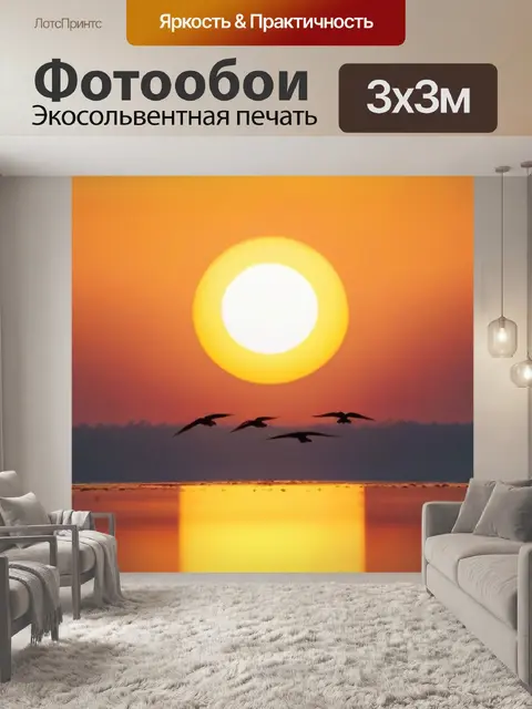 Фотообои птицы, летающие на фоне солнца