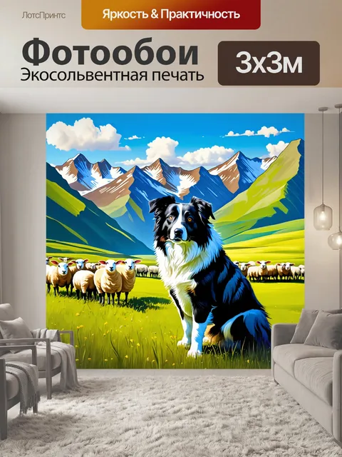 Фотообои на горном пастбище бордер-колли следит за стадом овец