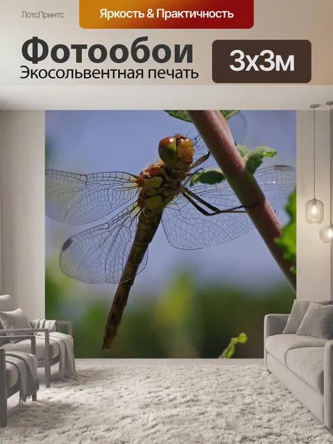 Фотообои Стрекоза