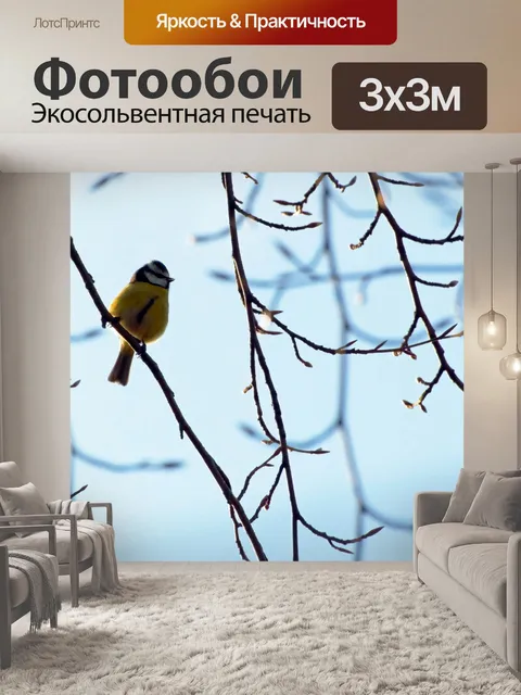 Фотообои Птица сидит на ветке