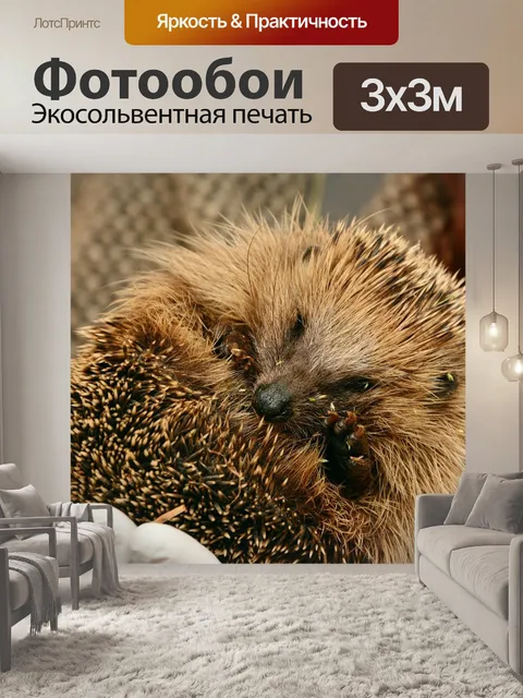Фотообои Ежик