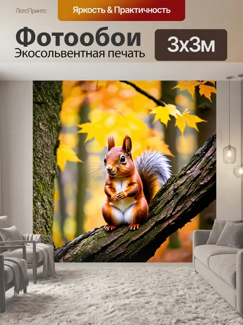 Фотообои Рыжая белка с белым животом и серой спиной сидит на толстом сухом дереве в осеннем лесу