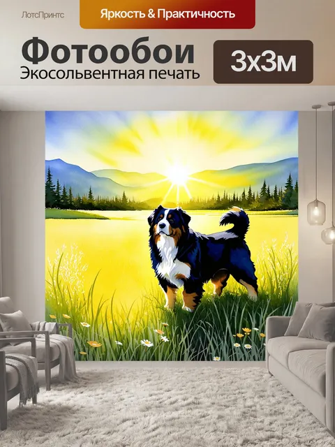 Фотообои идиллический пейзаж с бернским зенненхундом, играющим в высоких травах под лучами закатного солнца