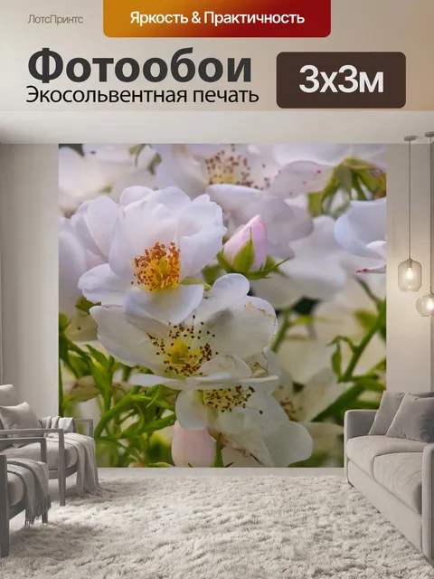 Фотообои Кустовая роза