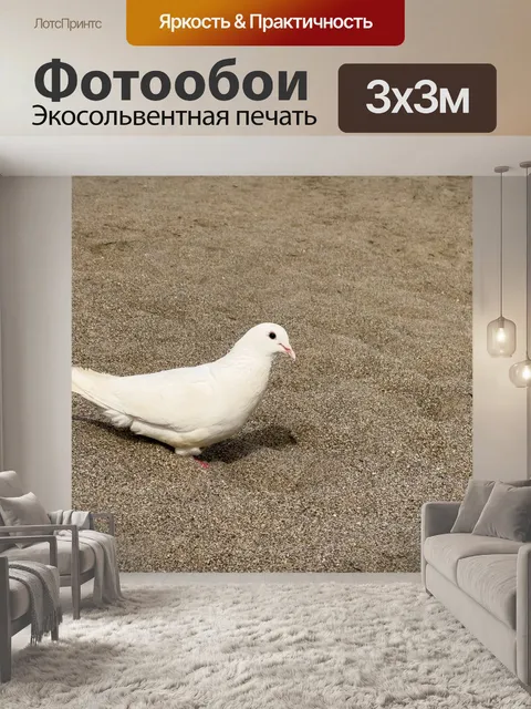 Фотообои голубь на пляже
