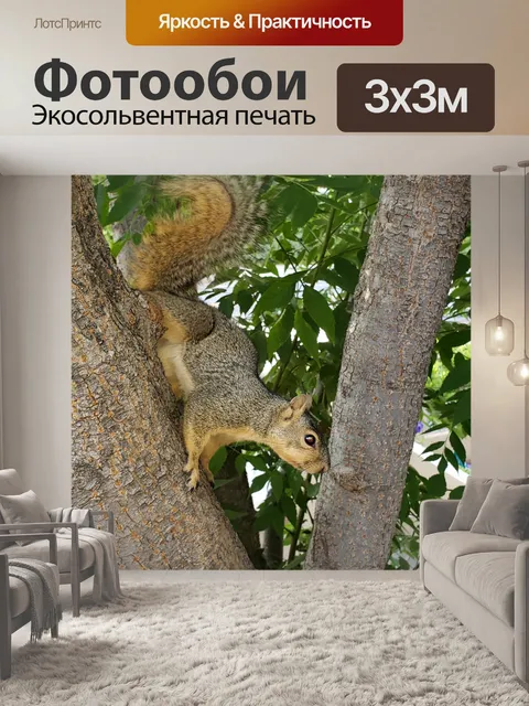 Фотообои Белка лисы в дереве