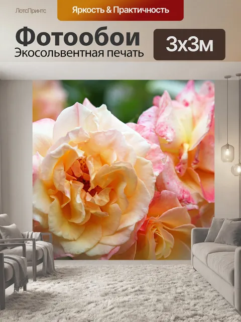 Фотообои Кустовая роза