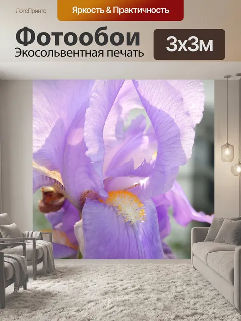 Фотообои Ирис