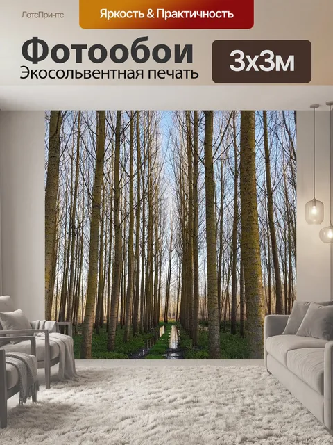 Фотообои Деревья