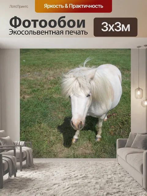 Фотообои Мини лошади