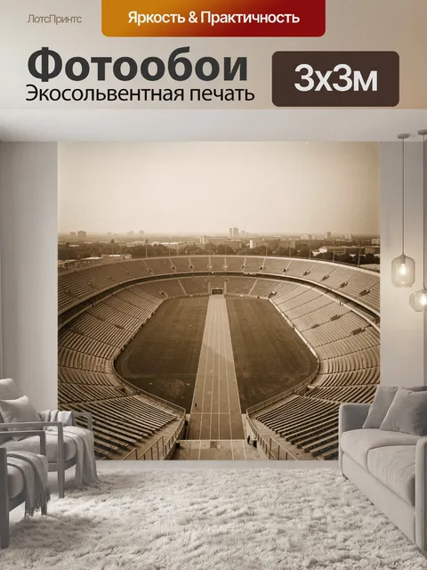 Фотообои Пустая арена в сепии