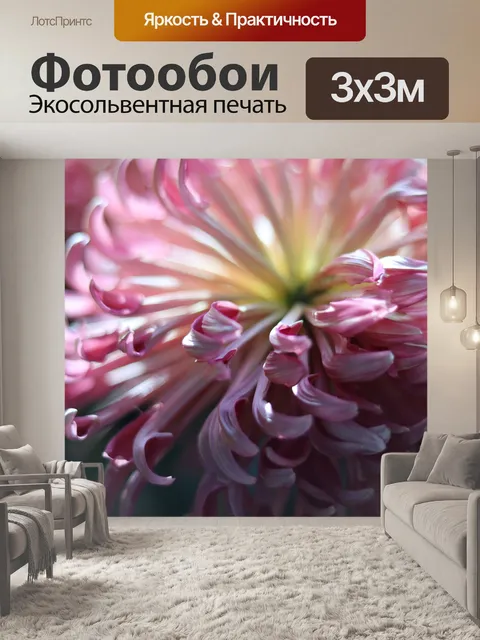 Фотообои Фиолетовый дейзи