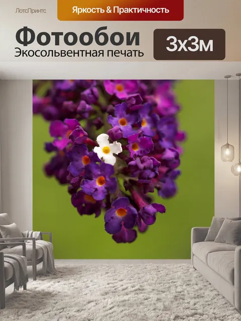 Фотообои Сирень
