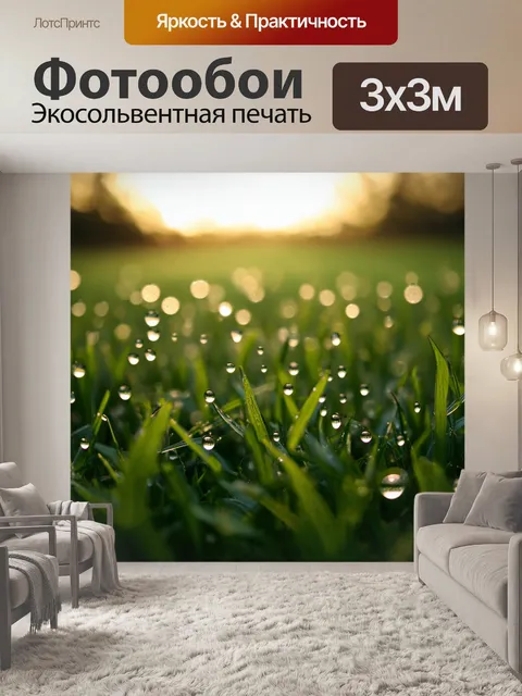 Фотообои поле, усыпанное капли росы, создающее волшебную атмосферу под утренним светом