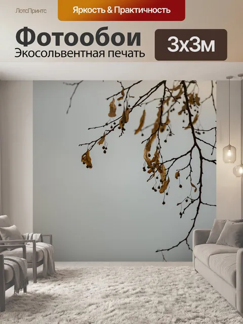 Фотообои Ветви дерева
