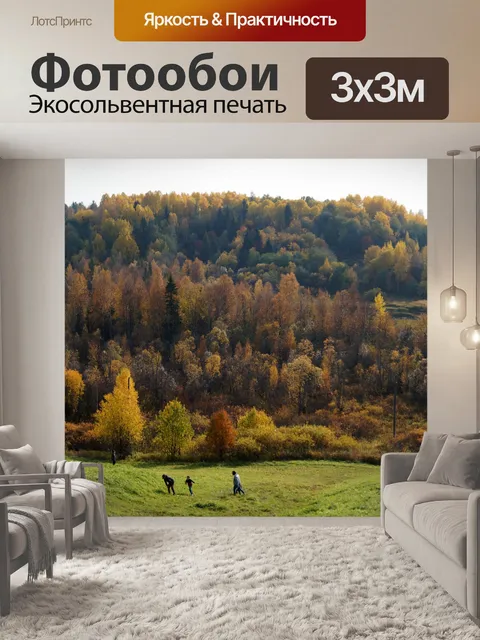Фотообои Лес