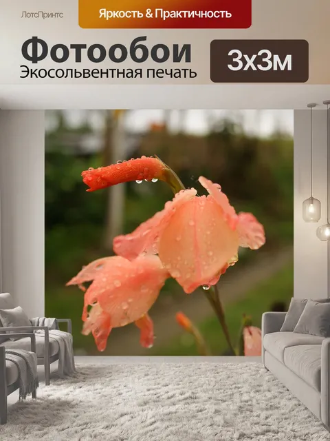 Фотообои Картинки