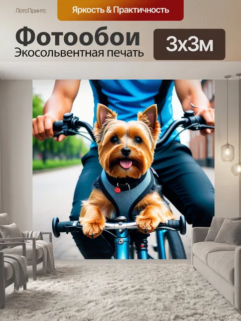 Фотообои йоркширский терьер на велосипеде с хозяином