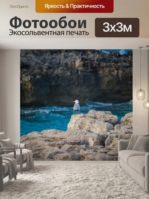 Фотообои Чайка