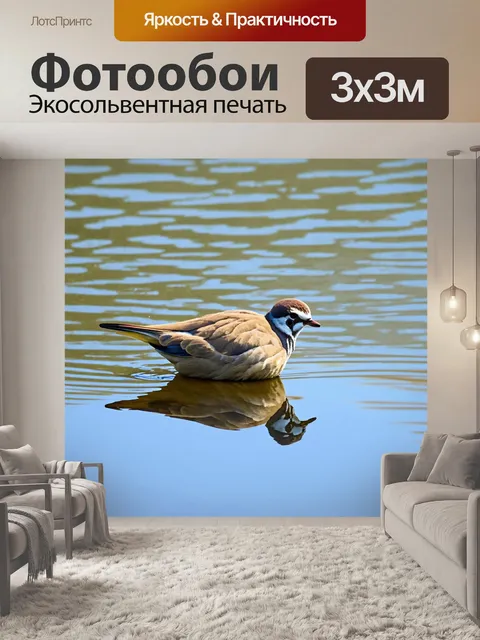 Фотообои птица, отдыхающая на берегу реки, с отражением в воде