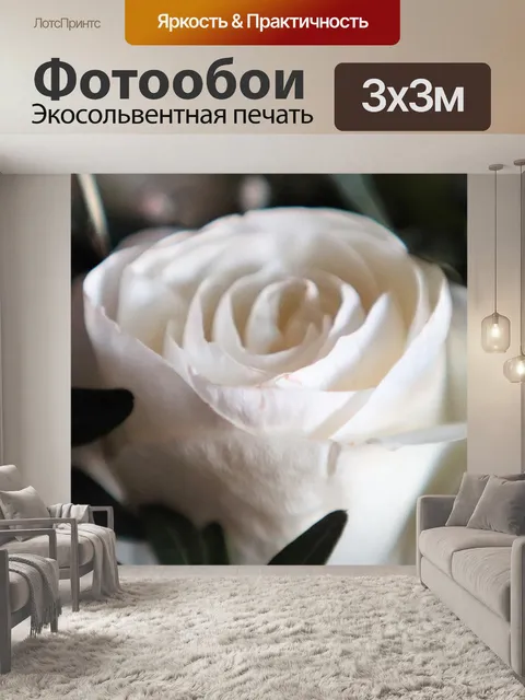 Фотообои Белая роза